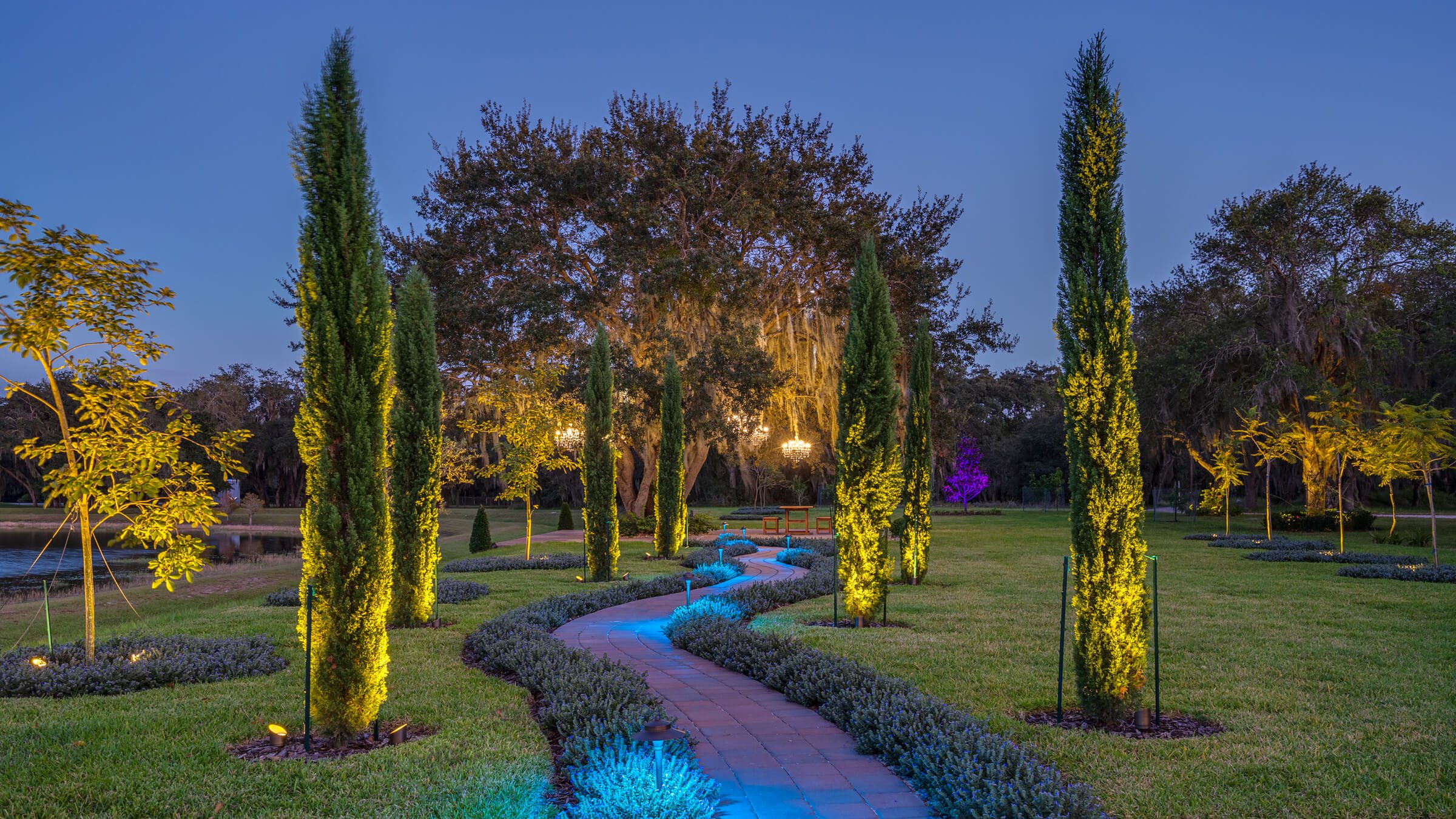 Garden path with gold tree uplighting and blue path lights at dusk