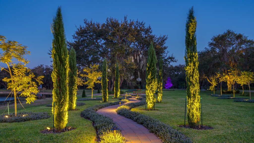 Garden path and cypress trees with warm white permanent uplighting